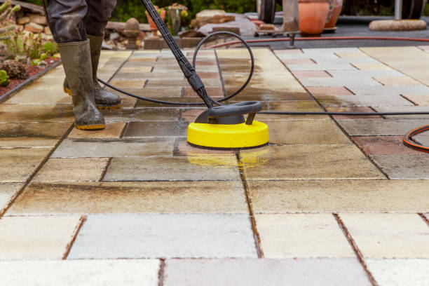 Animal Enclosure Cleaning in Sidney, MT